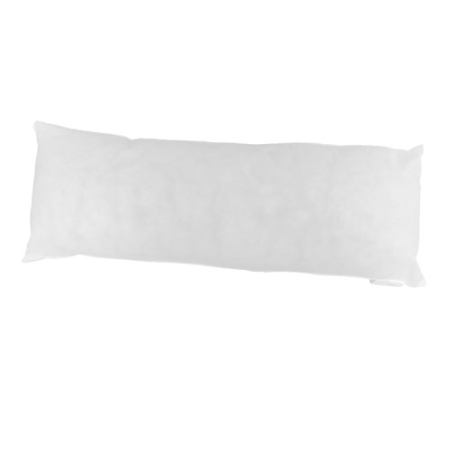 Wade Logan® Arywn Indoor/Outdoor Pillow Insert & Reviews Wayfair